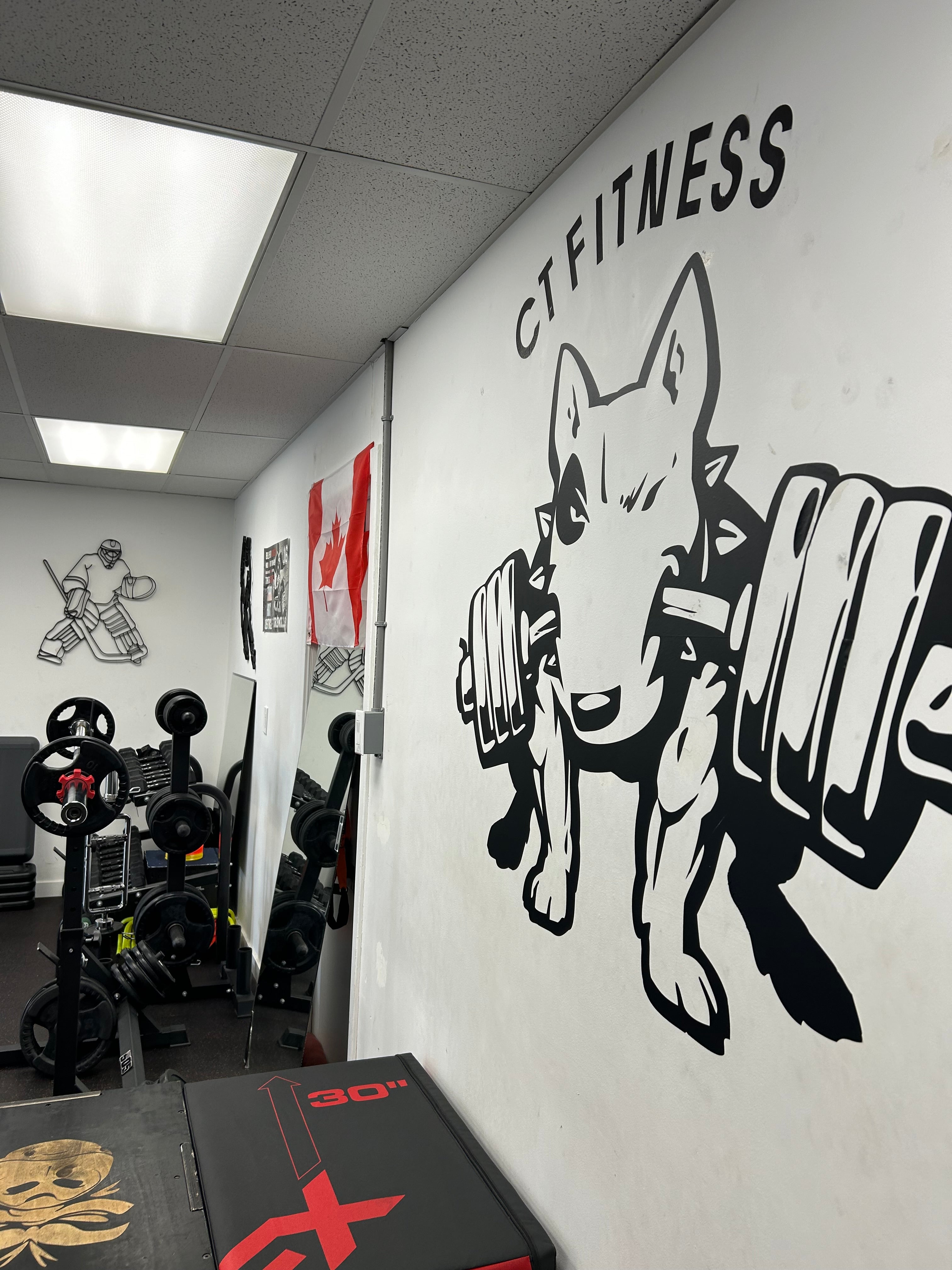 Fat Loss and Body Transformation